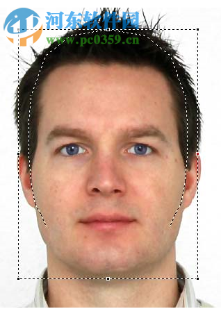 faceworx(三维建模软件) 1.0 免费版