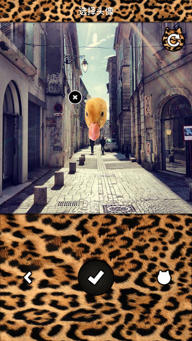 搜猴儿相机 1.5.1 苹果版