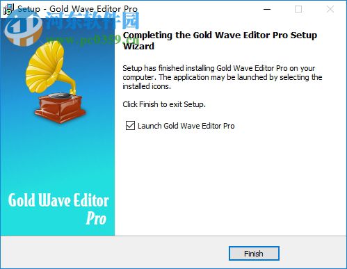 音频编辑软件(Gold Wave Editor Pro) 10.5.5 官方版