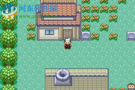 口袋妖怪绿宝石 386