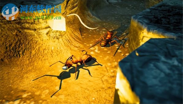 地下蚁国 修复完整版