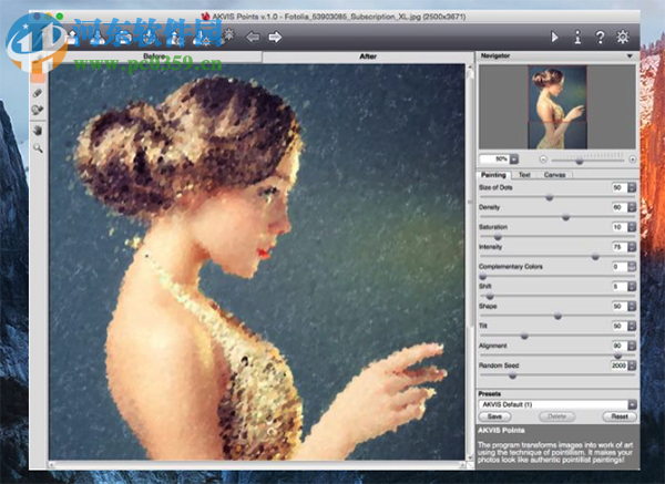 AKVIS Points(照片转点彩画软件) 2.0 官方版