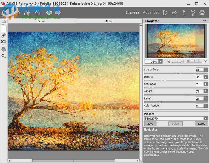AKVIS Points(照片转点彩画软件) 2.0 官方版