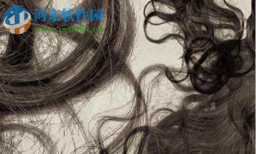 PS发丝笔刷 免费版