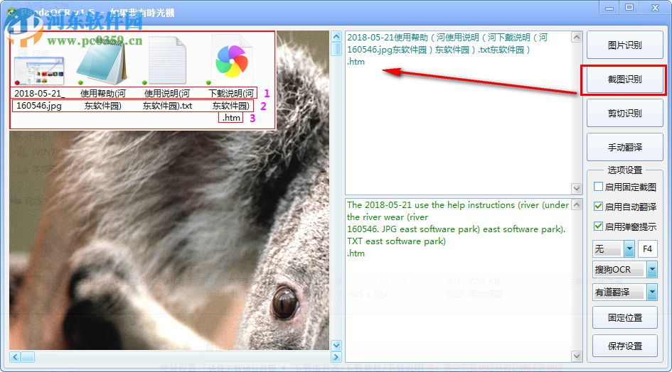 PandaOCR(OCR识别翻译软件)