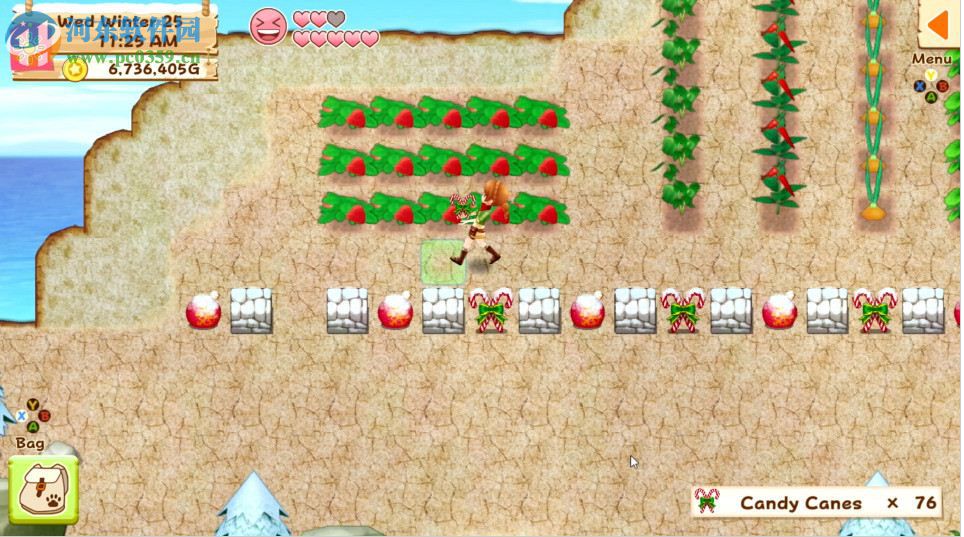 牧场物语：希望之光 英文版