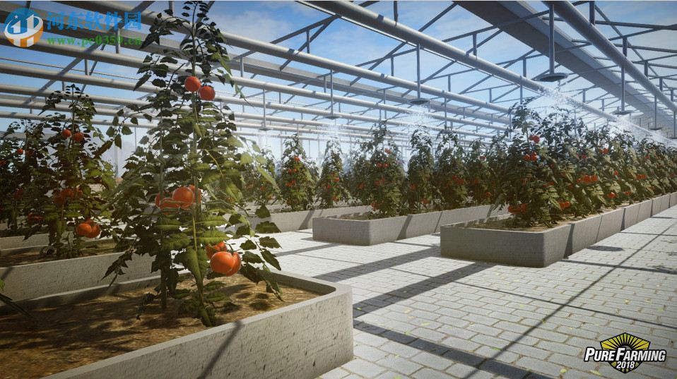 纯粹农场2018 中文版