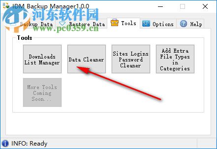 IDM Backup Manager(IDM备份管理软件) 1.0.0 绿色版