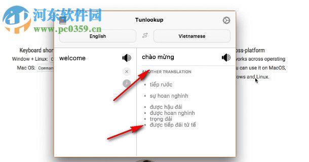 Tunlookup(文本翻译工具) 3.0.2 官方版