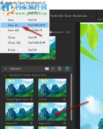 Perfectly Clear Workbench 64位