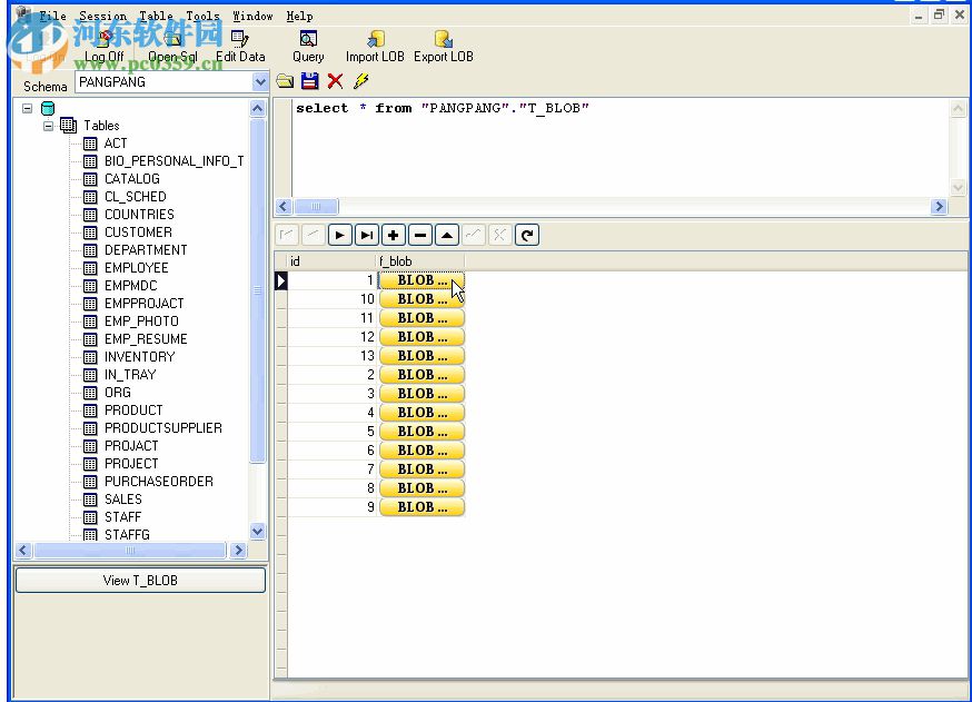 DB2LobEditor(数据库编辑工具)