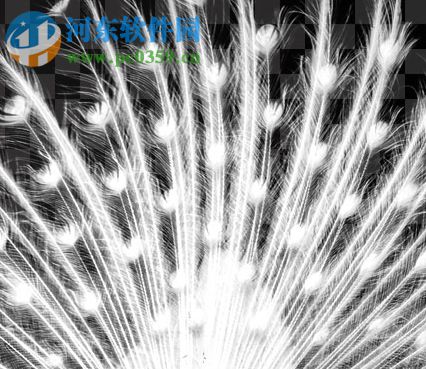 Stepok RAW Importer(RAW文件转换工具) 2.7 绿色免费版