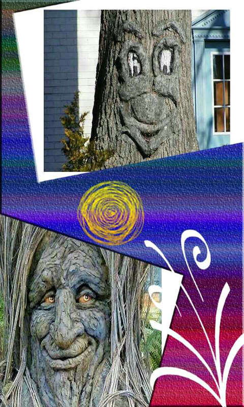 美美相框照相机(2)