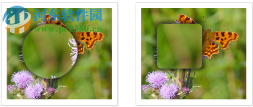 Antenna Web Design Studio(可视化网页设计) 6.57 破解版