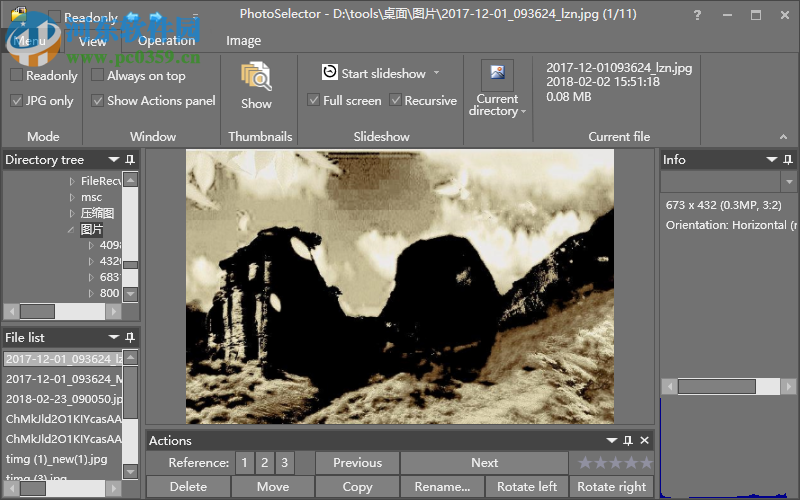 Brain2CPU PhotoSelector(图像管理软件) 9.3 破解版