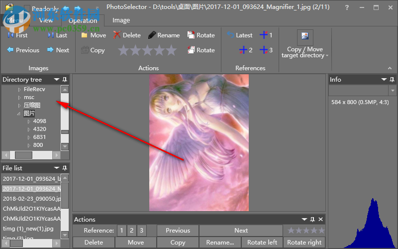 Brain2CPU PhotoSelector(图像管理软件) 9.3 破解版