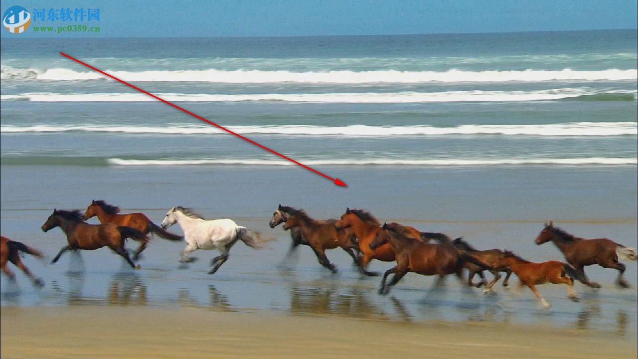 proDAD Erazr(视频物体擦除工具) 1.5.69.1 免费版