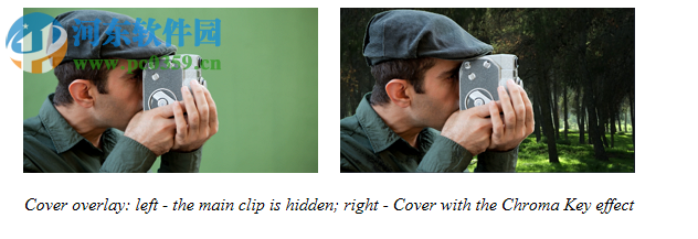 Movavi Video Editor Plus(视频编辑工具)