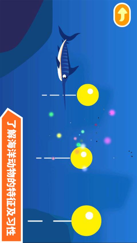 多多海洋动物(3)