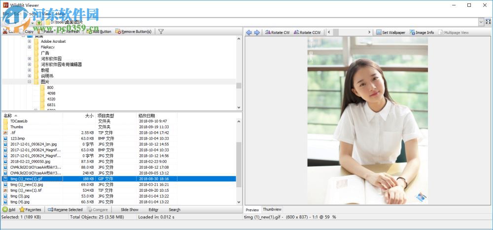 WildBit Viewe(多功能图像查看器) 6.4 破解版