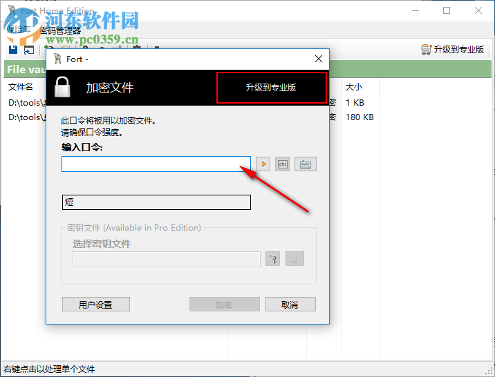 Fort Home Edition(文件密码管理软件) 5.0.0.0 中文版