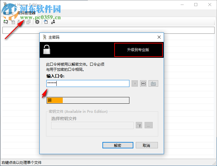 Fort Home Edition(文件密码管理软件) 5.0.0.0 中文版