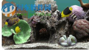 MarineAquarium3(屏保工具) 3.2.6066 免费版