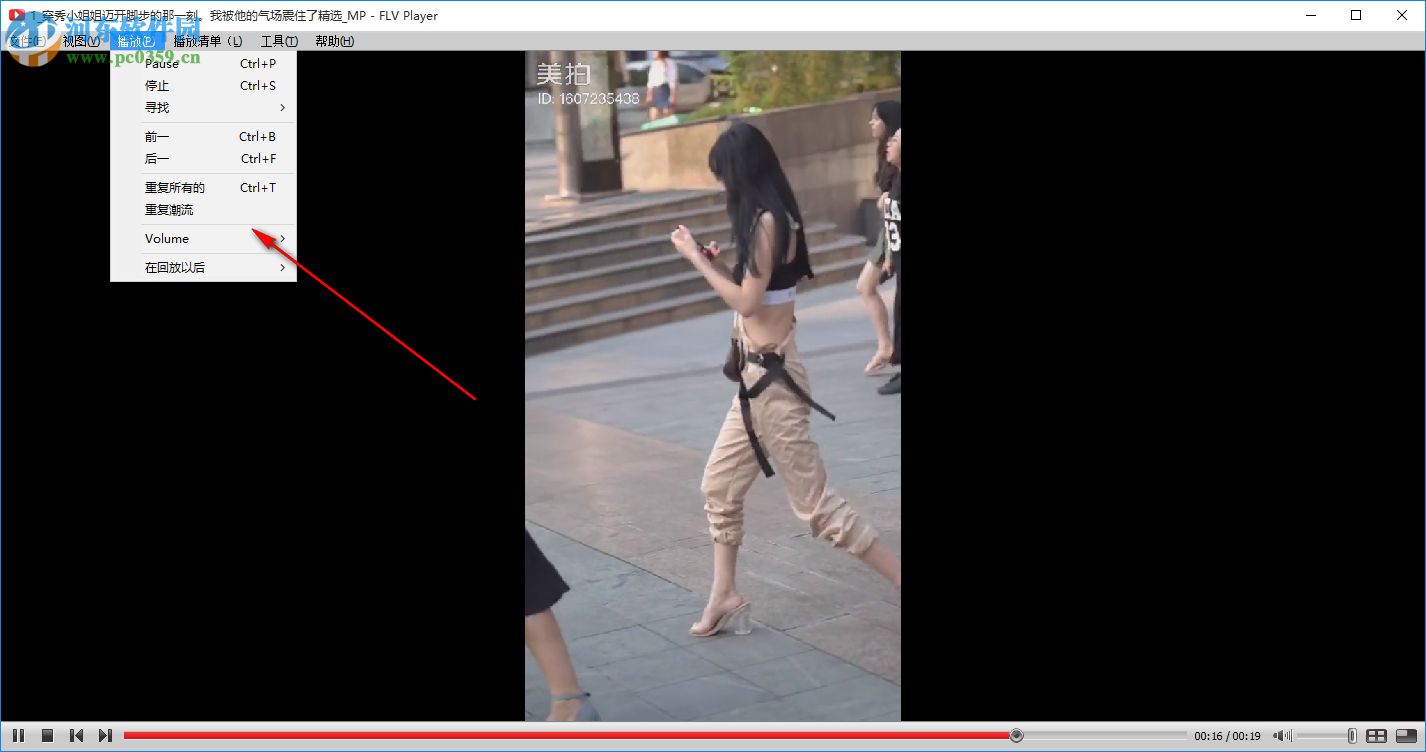 FLV ViewerF4V播放器 2.6.3.0 免费版