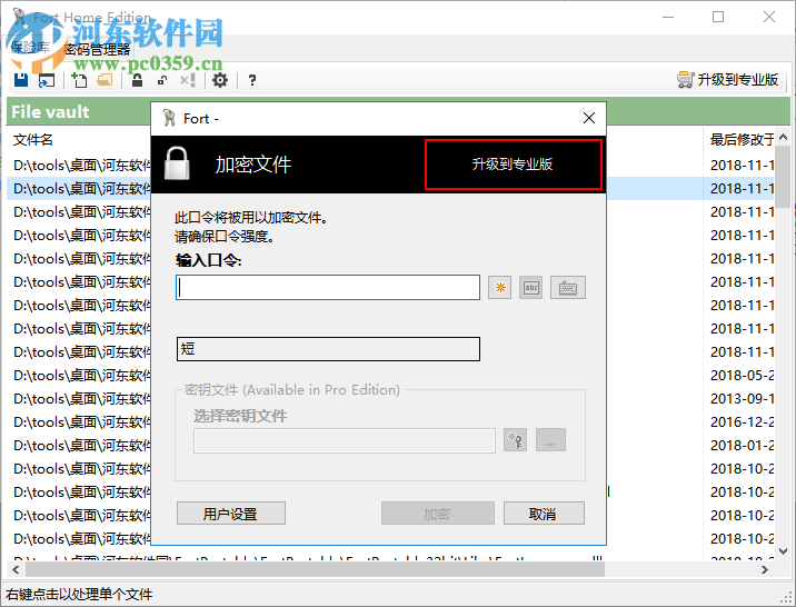 Fort Professional Edition(文件加密器) 4.1.0.0 绿色中文版