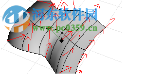 Rhinoceros(犀牛) 7.0.19009 破解版