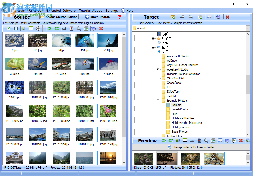 SortPix XL(图像管理软件) 19.0.3 免费版