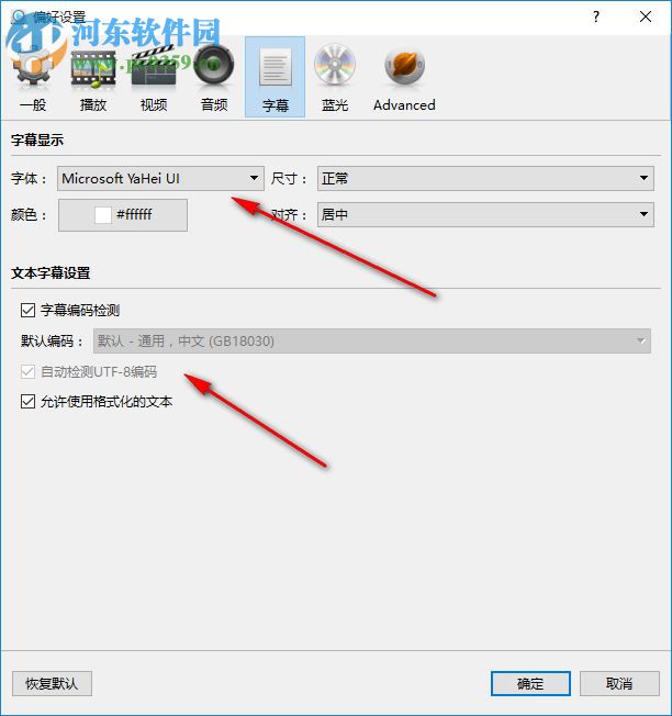 ZJMedia Easy DVD Player(数码播放器) 4.7.3 中文版