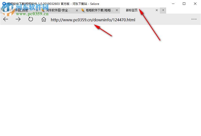 Seiore浏览器 1.3396.00 官方版