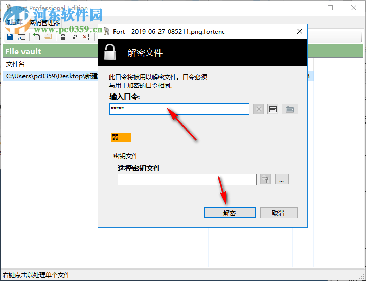 Fort File encryption(文件加密软件) 5.0.0 中文版