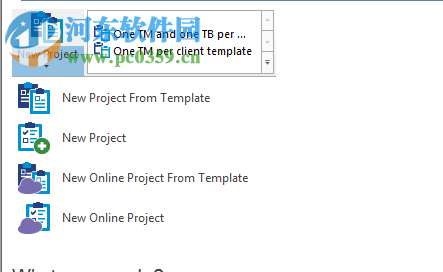 memoQ(翻译软件) 8.7.11 官方版