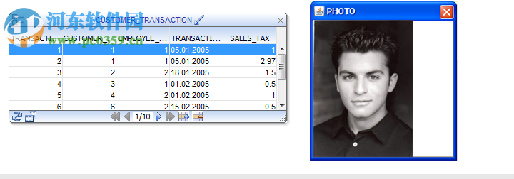 数据库ER图绘制工具(DbSchema) 8.1.8 官方版