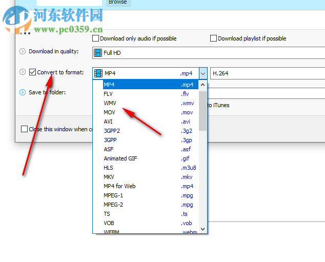 Any Video Downloader(视频下载工具)