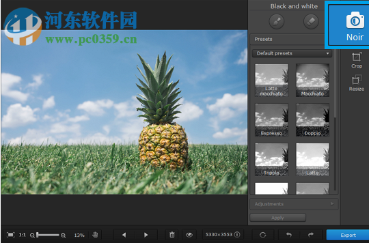 Movavi Photo Noir(照片转黑白软件) 1.0.1 官方版