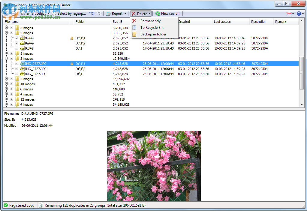 Detwinner(重复文件查找工具) 2.04.001 免费版