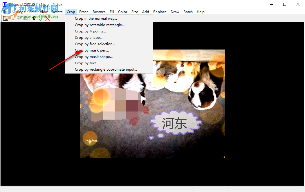 Cpix(图片浏览工具) 2.5.1 免费版