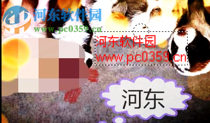 Cpix(图片浏览工具) 2.5.1 免费版