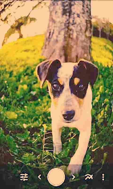 专业鱼眼相机(4)