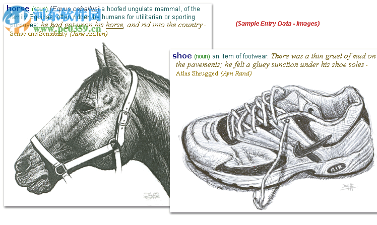 TLex(语言内容管理工具) 11.1.0.2600 免费版