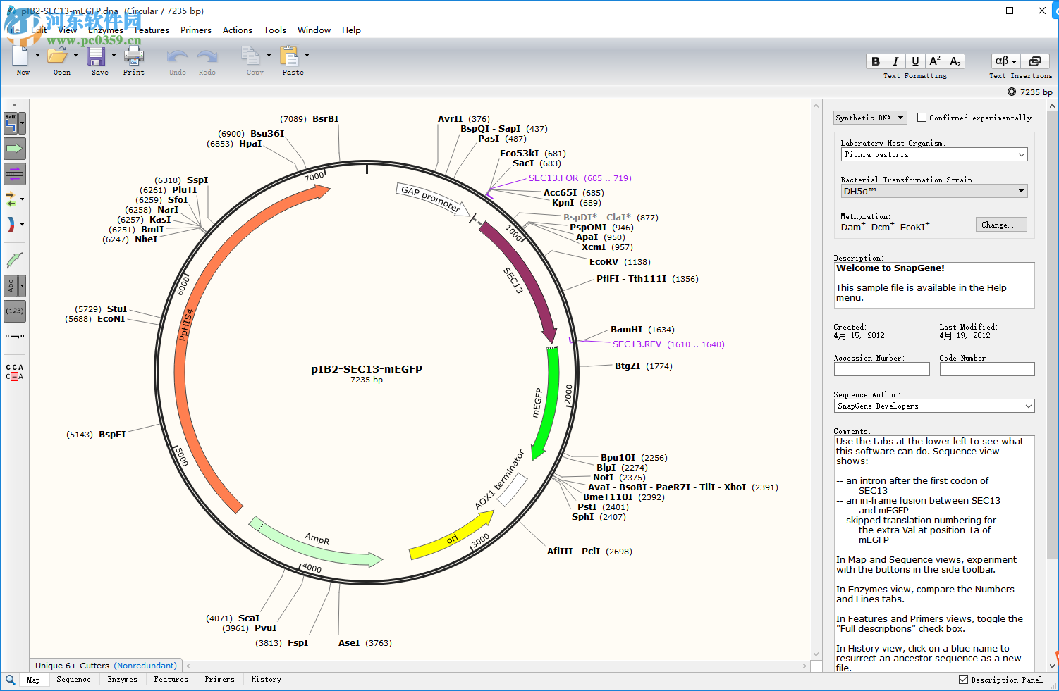GSL Biotech SnapGene(分子生物学软件)