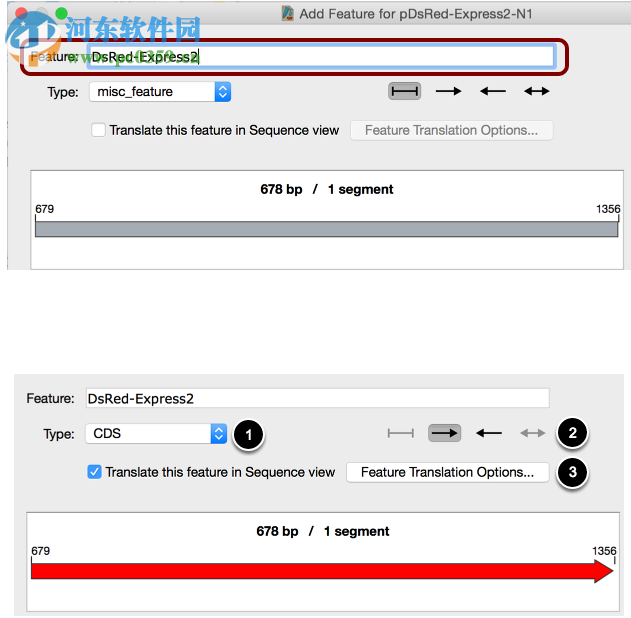 GSL Biotech SnapGene(分子生物学软件)