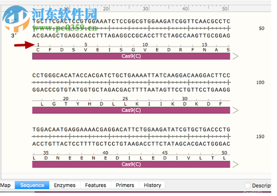 GSL Biotech SnapGene(分子生物学软件)