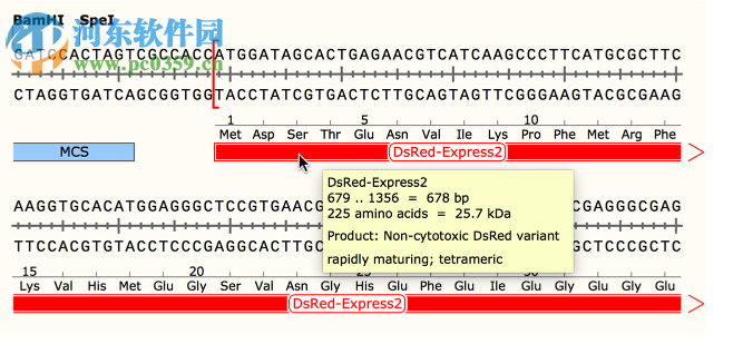 GSL Biotech SnapGene(分子生物学软件)