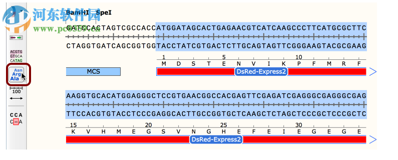 GSL Biotech SnapGene(分子生物学软件)