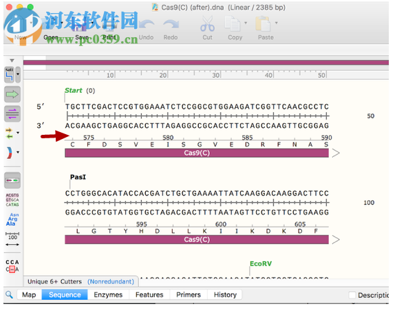 GSL Biotech SnapGene(分子生物学软件)
