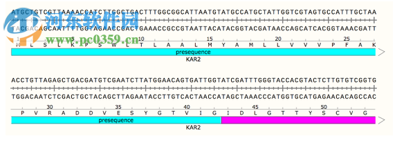 GSL Biotech SnapGene(分子生物学软件)
